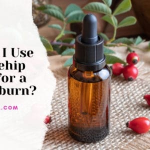 Can I Use Rosehip Oil for a Sunburn
