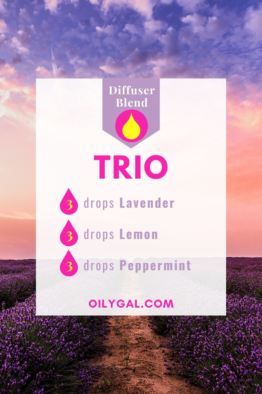 Trio Diffuser Blend - 3 Must Have Starter Essential Oils for Beginner Users