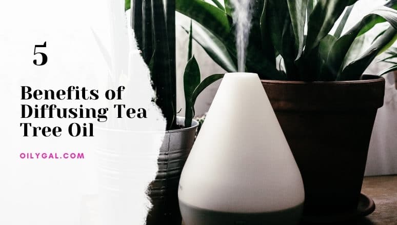 benefits of diffusing tea tree essential oil