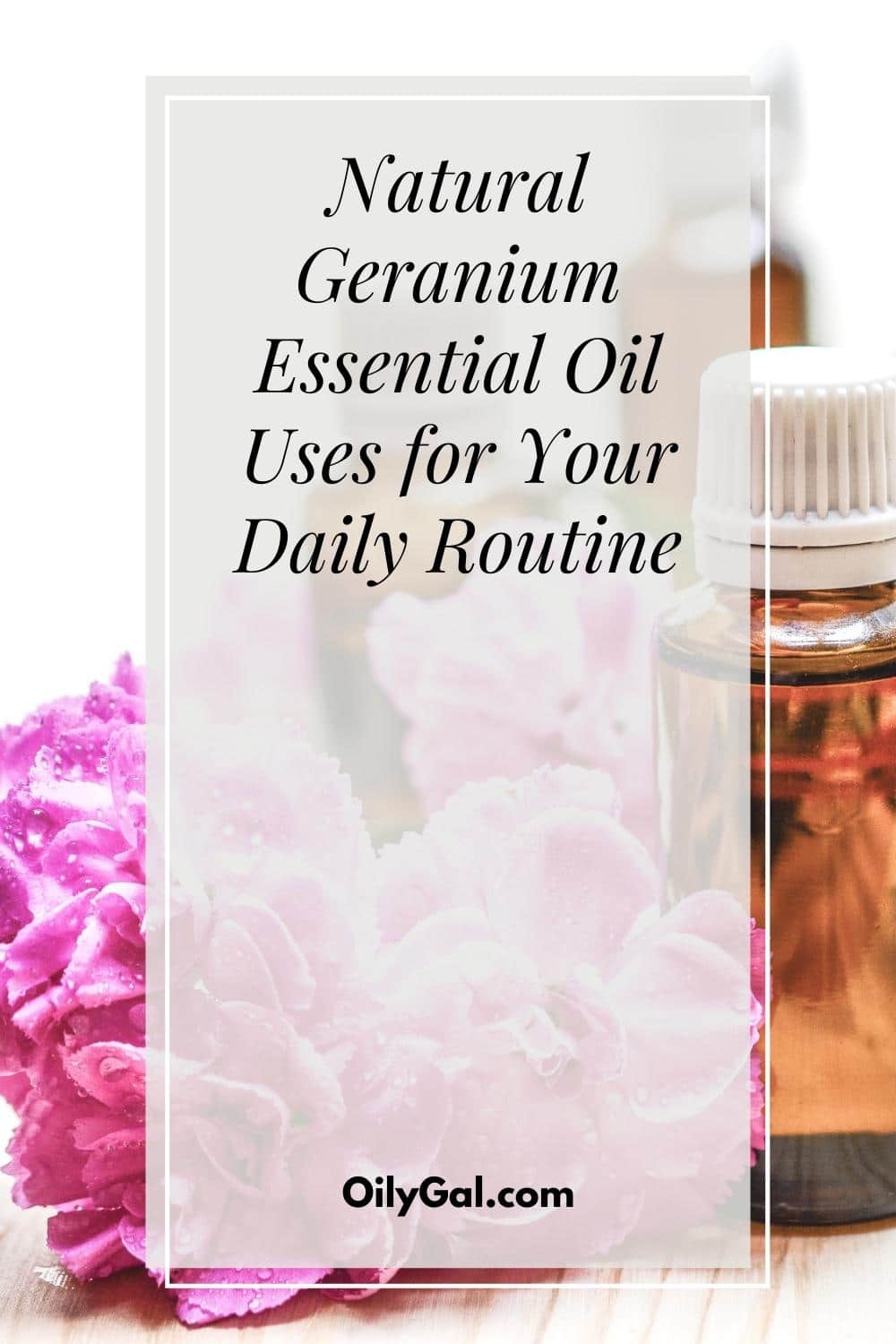 Geranium Essential Oil Uses