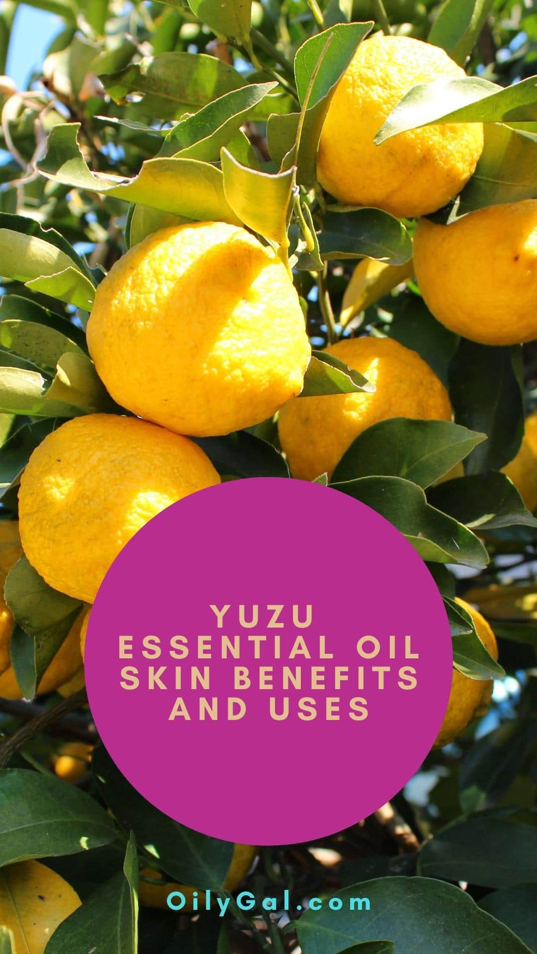 Yuzu Essential Oil Skin Benefits and Uses