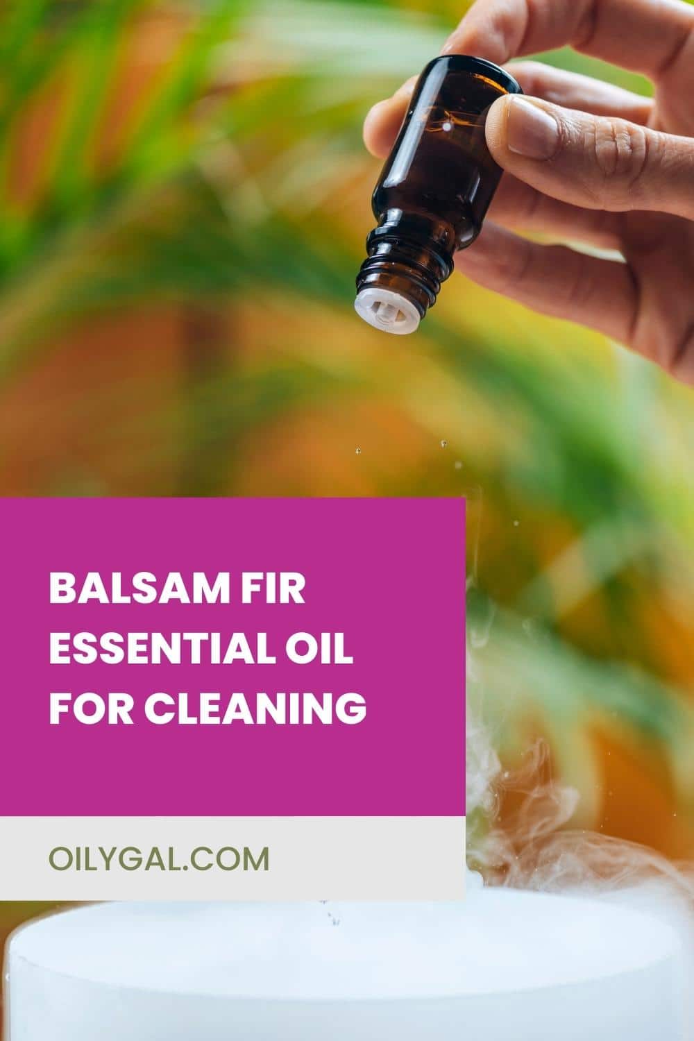 Balsam Fir Essential Oil For Cleaning