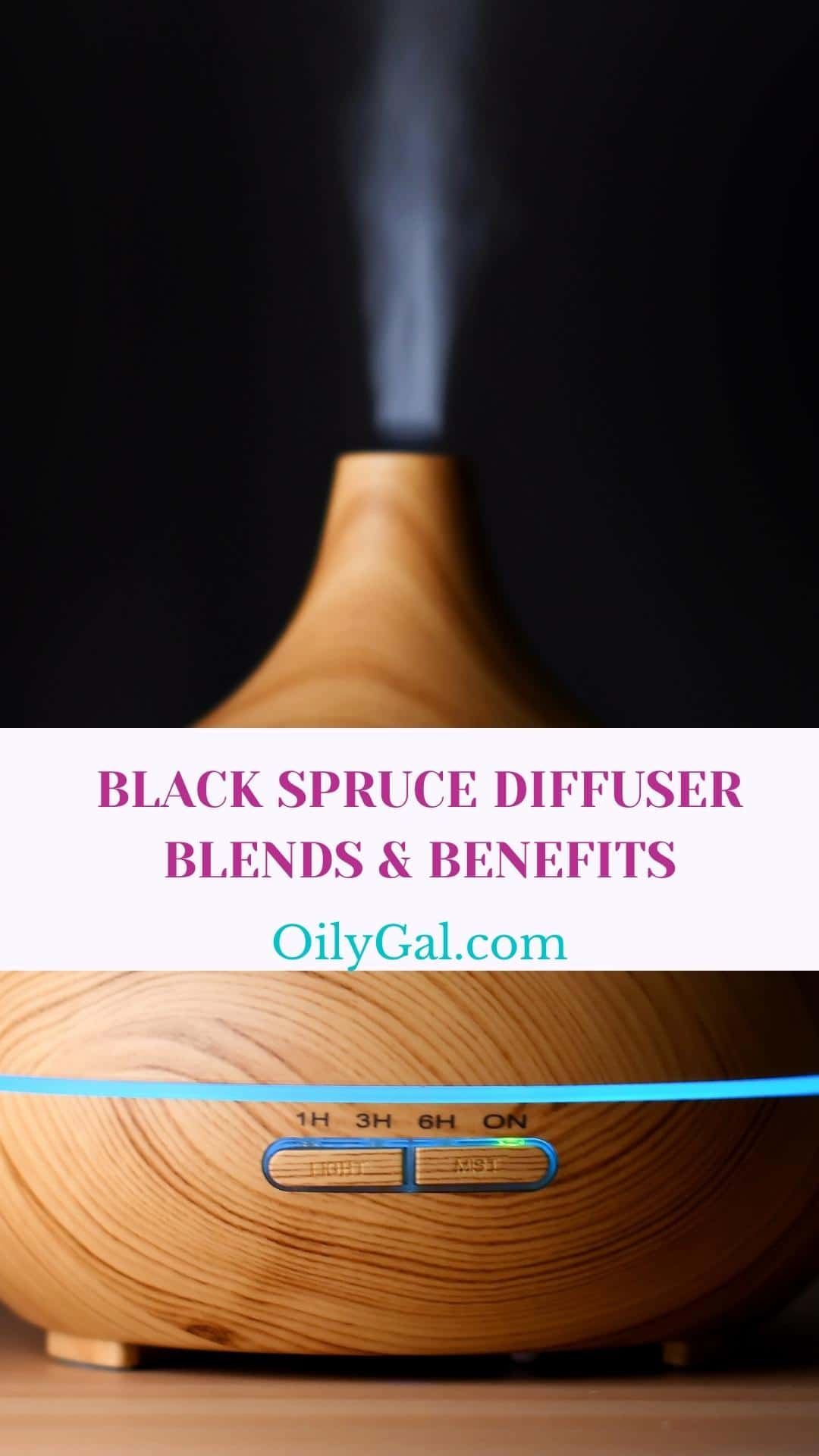 Black Spruce Diffuser Blends and Benefits