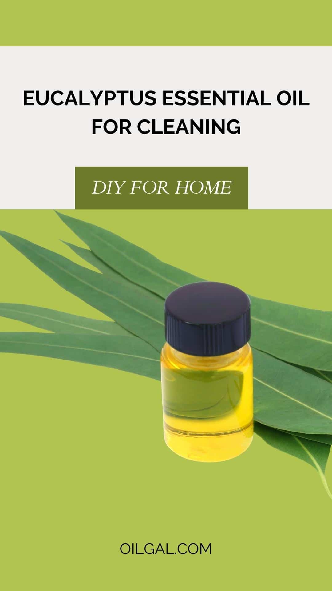 Eucalyptus essential oil for cleaning (2)