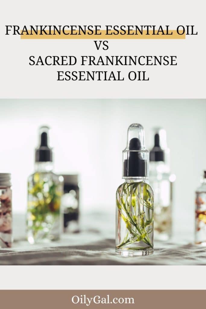 Is Sacred Frankincense the Same as Frankincense? 3 Types of Essential