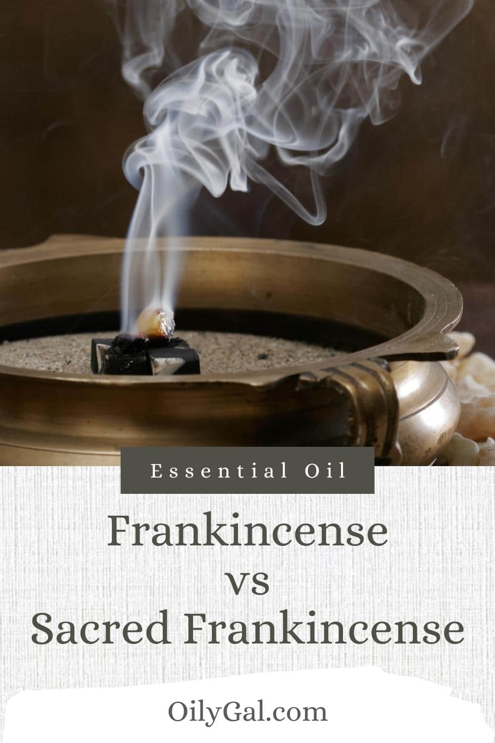 Frankincense vs Sacred Frankincense - Types of Frankincense Essential Oil