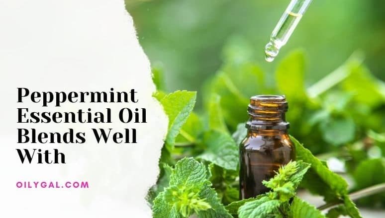 Peppermint Essential Oil Blends Well With