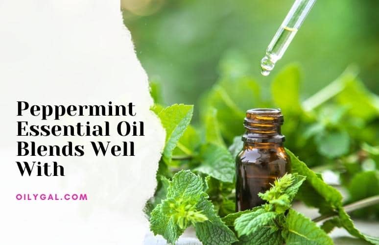 Peppermint Essential Oil Blends Well With Oily Gal