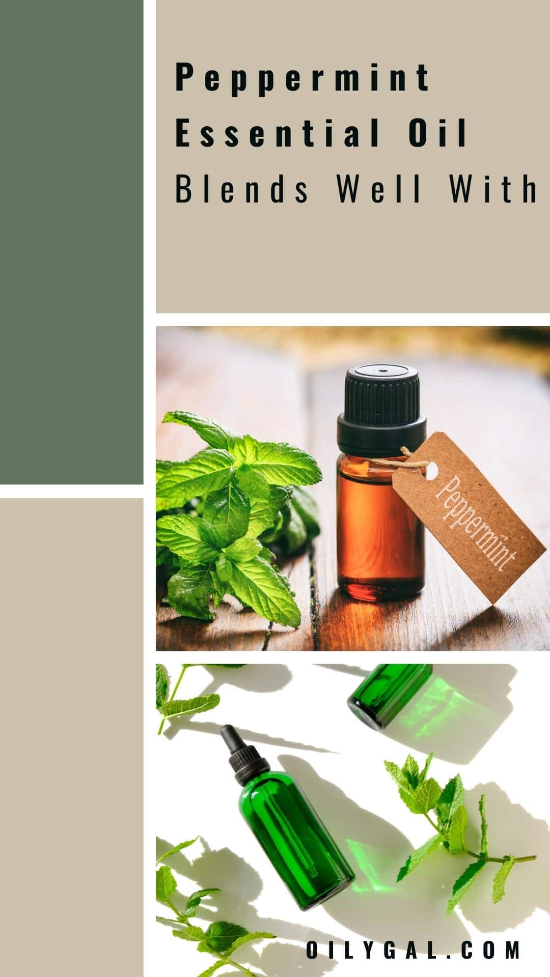 Peppermint Essential Oil Blends Well With