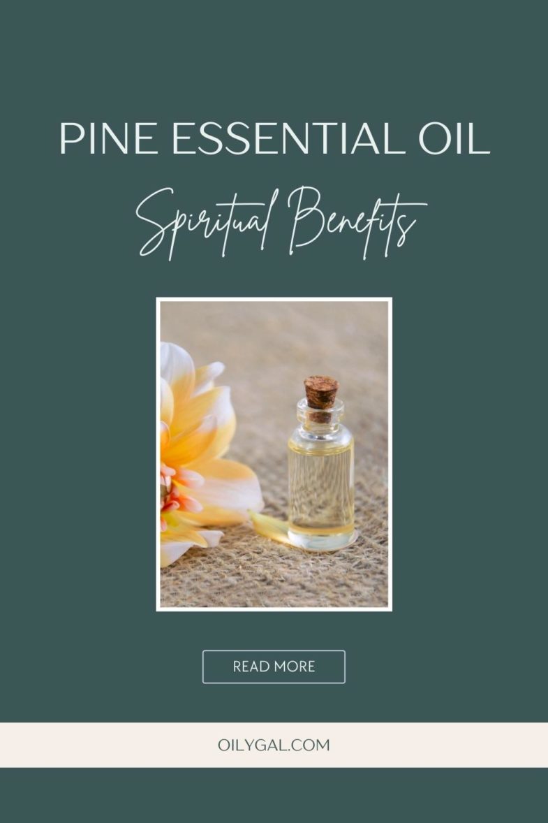 Pine Essential Oil Spiritual Benefits Use for Meditation and Massage