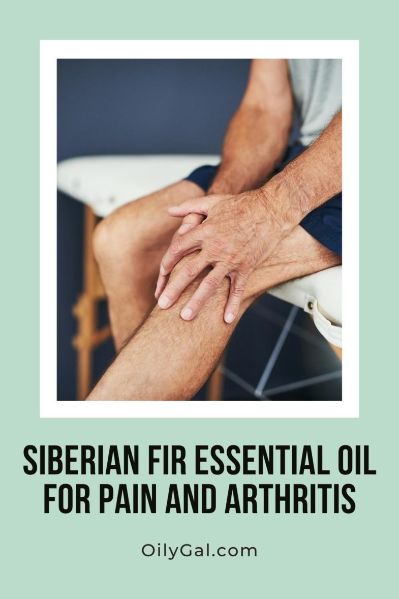 Siberian Fir Essential Oil For Pain and Arthritis Natural Relief