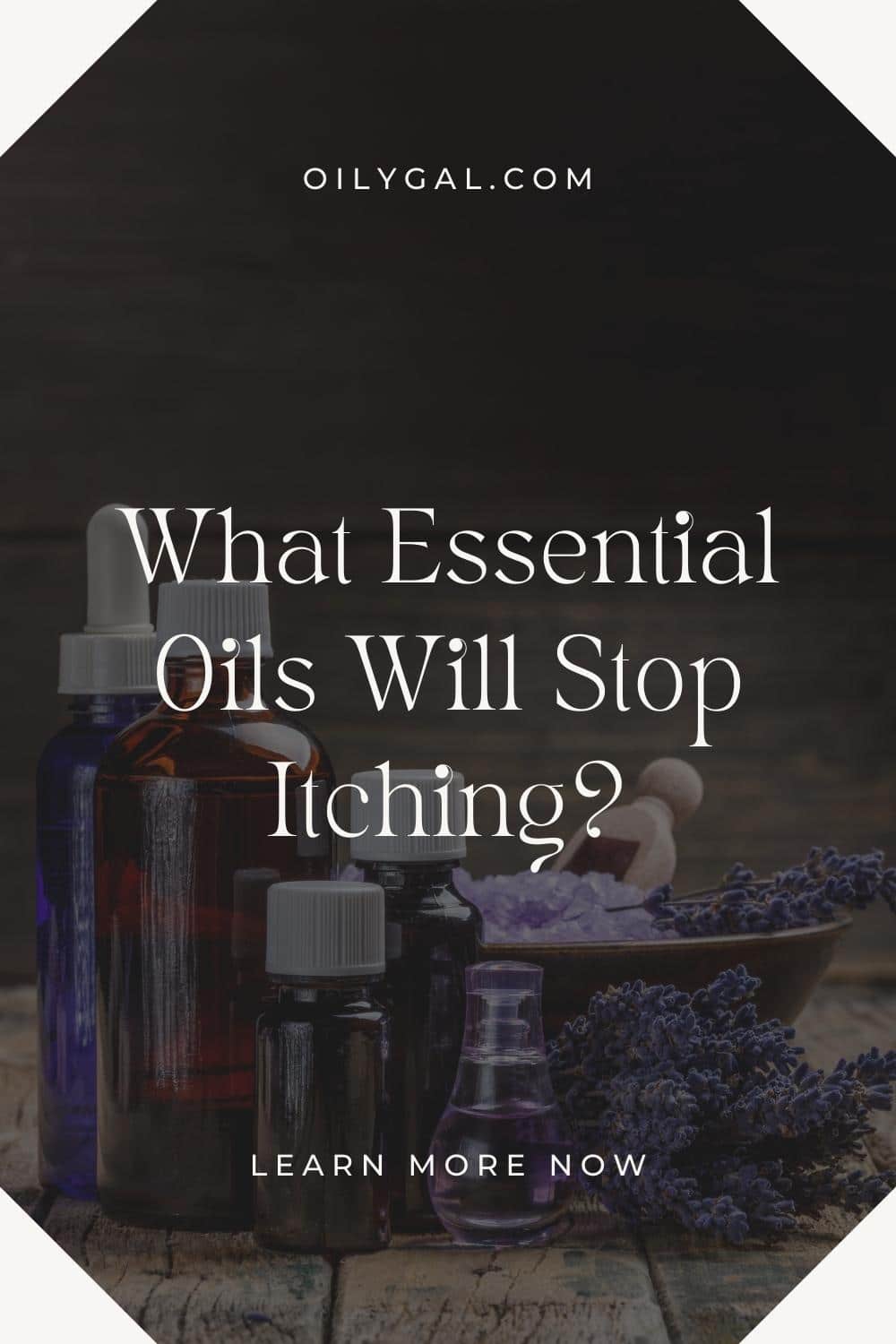 What essential oil will stop itching