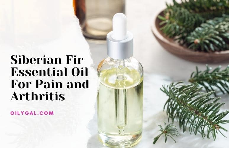 Siberian Fir Essential Oil For Pain and Arthritis - Natural Relief ...