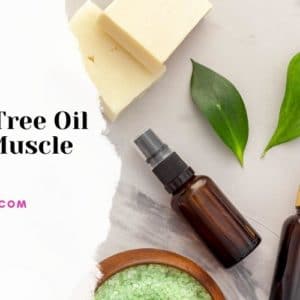 tea tree oil for muscle pain