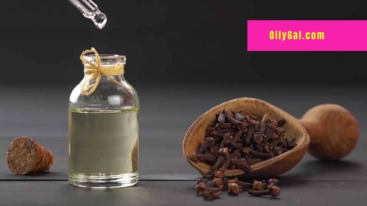Clove Essential Oil Diffuser Benefits Oily Gal