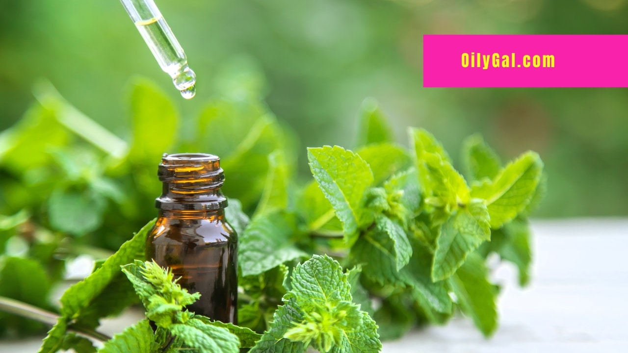 Peppermint Essential Oil for Sore Throat Uses and Benefits Oily Gal