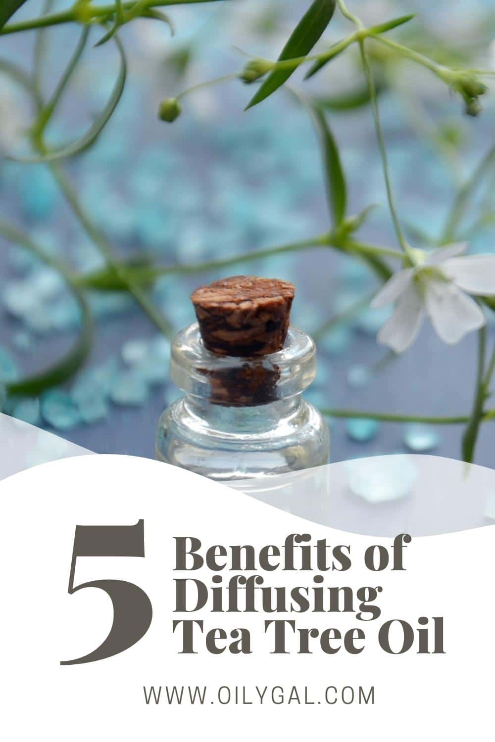 Benefits of Diffusing Tea Tree Oil