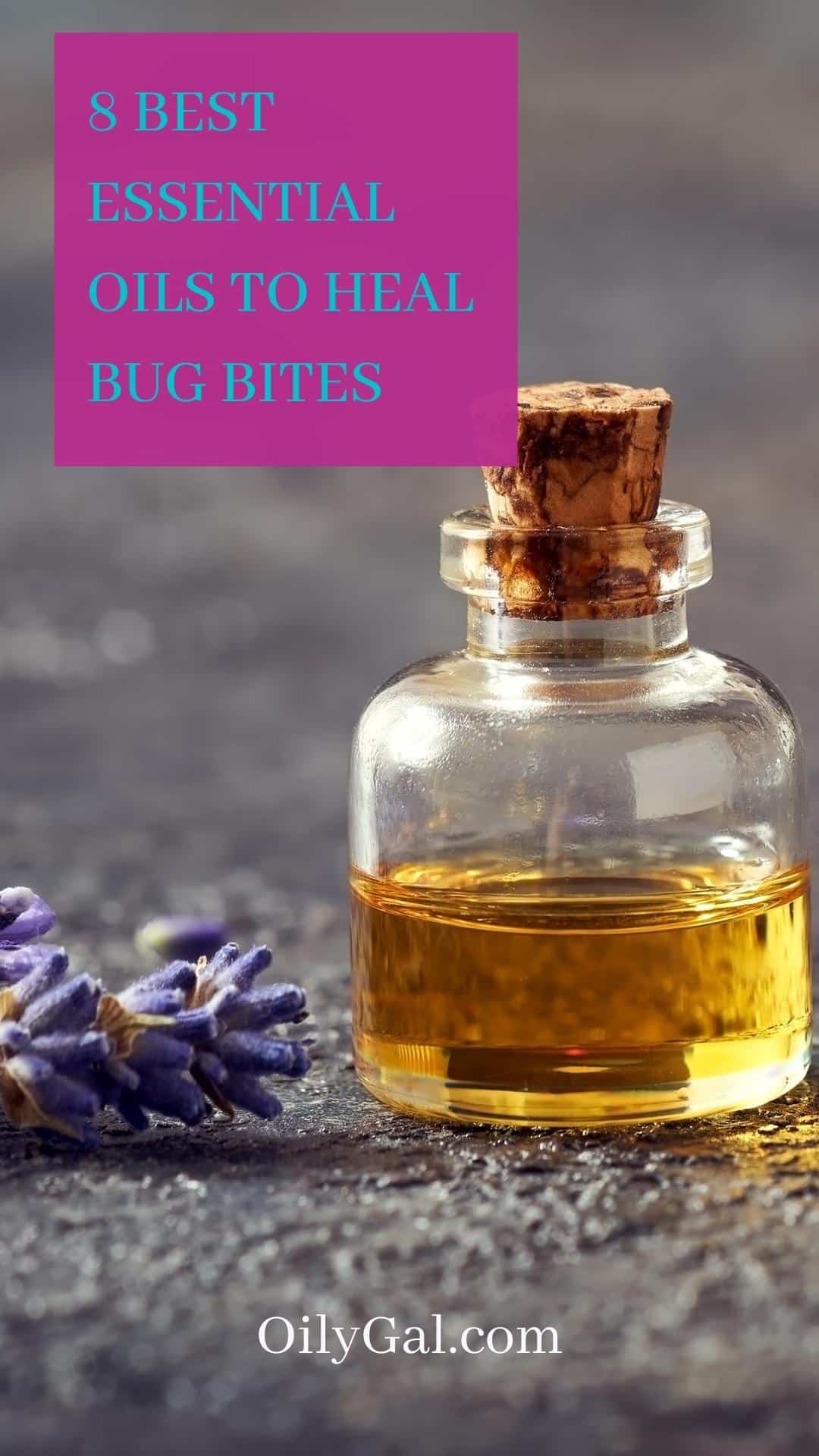 8 Best Essential Oils to Heal Bug Bites